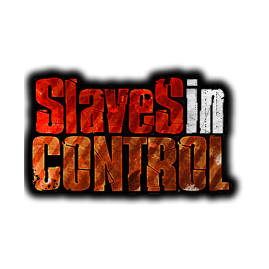 Slaves In Control